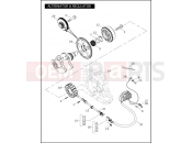 HARLEY-DAVIDSON VRSCD NIGHT ROD  - VRSCD 105 ALTERNATOR & REGULATOR