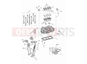 Triumph 2023 Speed Twin 900 Cylinder head & valves