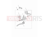 Triumph 2023 Speed Twin 900 Front brake master cylinder