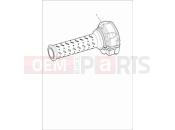 Triumph 2023 Speed Twin 900 35 kW restrictor kit