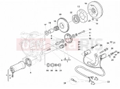 DUCATI Monster 600 City GENERATOR - STARTING MOTOR » IGNITION SYSTEM