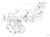 SECONDARY AIR SYSTEM - Ducati Scrambler 1100 Sport 2019