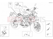 VEHICLE ELECTRIC SYSTEM - Ducati Scrambler 1100 Sport 2019