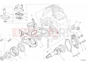 HORIZONTAL HEAD & TIMING SYSTEM - Ducati Scrambler 1100 Sport 2019