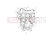 Triumph 2022 TIGER 900 GT Pro Crankcase Bolts