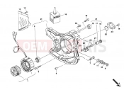 DUCATI Monster 900 GENERATOR COVER » IGNITION SYSTEM