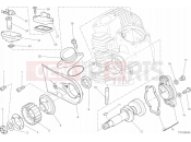 DUCATI Scrambler Icon HEAD HORIZONTAL - DISTRIBUTION