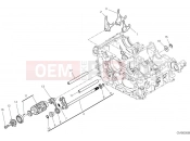 Shift cam & fork - Ducati Panigale V4 R 2024