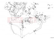 Cooling circuit - Ducati Panigale V4 R 2024