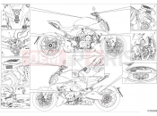 DUCATI 2024 Diavel V4 Positioning plates