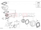 DUCATI Monster SP Cylinders & pistons