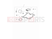 TRIUMPH Speed Twin 900 Engine service kit