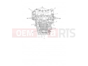 TRIUMPH Tiger 1200 GT Crankcase Bolts