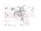 DUCATI Diavel Strada WIRING HARNESS