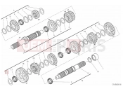 DUCATI 2019 Scrambler 1100 GEAR BOX