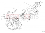 DUCATI 2019 Scrambler 1100 SECONDARY AIR SYSTEM