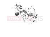 TRIUMPH Scrambler 400 X Harness