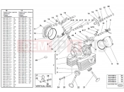 DUCATI Monster 1000 S VERTICAL HEAD