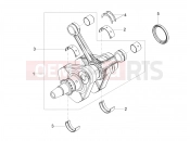 Cranckshaft - Motoguzzi V7 Stone E5+ (EU) 2025
