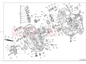 DUCATI Desert X Crankcase