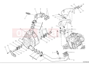 DUCATI Desert X Discovery Exhaust manifold