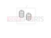 TRIUMPH Tiger 1200 Rally Explorer Valve Cap Kit, Laser Etch