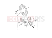 TRIUMPH Tiger 1200 Rally Explorer Rear Brake Caliper & Discs