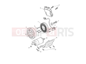 TRIUMPH Tiger 1200 Rally Explorer Starter & Alternator