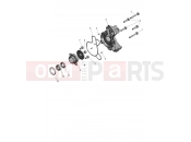 TRIUMPH Speed 400 Coolant Pump