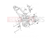 TRIUMPH Trident 660 Main Frame Assembly