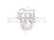 TRIUMPH Tiger 900 GT crankcase bolts