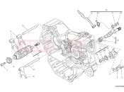 DUCATI Monster Plus Shift cam & fork
