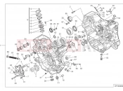 DUCATI Monster Plus Crankcase