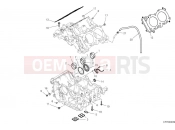 DUCATI Multistrada V4 S Crankcase bearings
