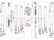 DUCATI Multistrada V4 S Front fork (international)
