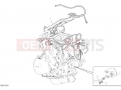 DUCATI Multistrada V4 Pikes Peak Engine electric system