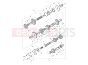 TRIUMPH DAYTONA 660cc - CM3407 > Transmission
