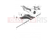 TRIUMPH DAYTONA 660cc - CM3407 > Swingarm Assembly