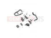 TRIUMPH DAYTONA 660cc - CM3407 > Emissions Control System