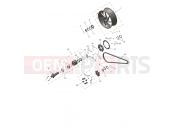 Rear Wheel & Final Drive - Triumph SPEED TRIPLE 1200 RS - CD3148 > 2026