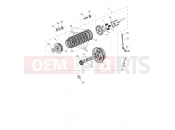 TRIUMPH SPEED TWIN 1200 Clutch