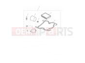 Triumph 2025 SPEED TWIN RS 1200 Engine Service Kit