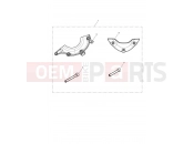 TRIUMPH Thruxton RS Engine Protector Kit