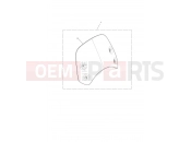 TRIUMPH Thruxton RS Screen, Short