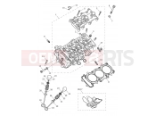 TRIUMPH TIGER 900 Desert Cylinder Head & Valves