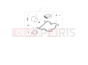 TRIUMPH SCRAMBLER 900 - Liquid Cooled - CM9964 > Engine Service Kit