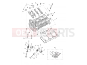 Triumph 2025 Tiger 1200 GT Pro Cylinder Head & Valves