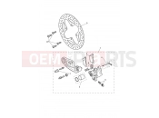 Triumph 2025 Tiger 1200 GT Pro Rear Brake Caliper & Discs