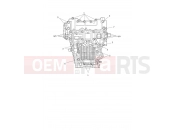 Crankcase Bolts - Triumph Tiger 1200 GT Pro 2026