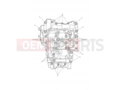 TRIUMPH TIGER 900 Alpine Crankcase Bolts
